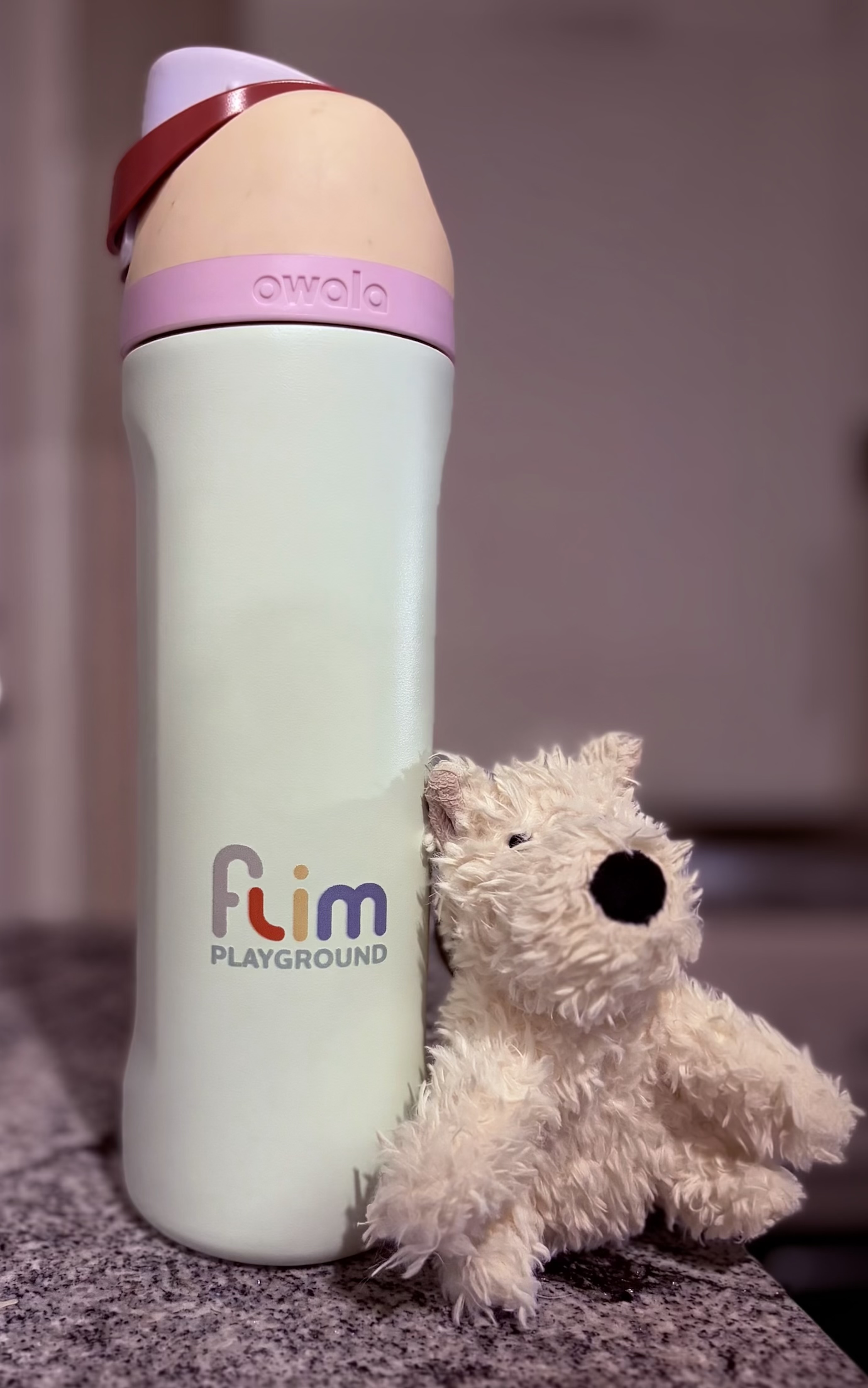 FLIM Playground on a water bottle